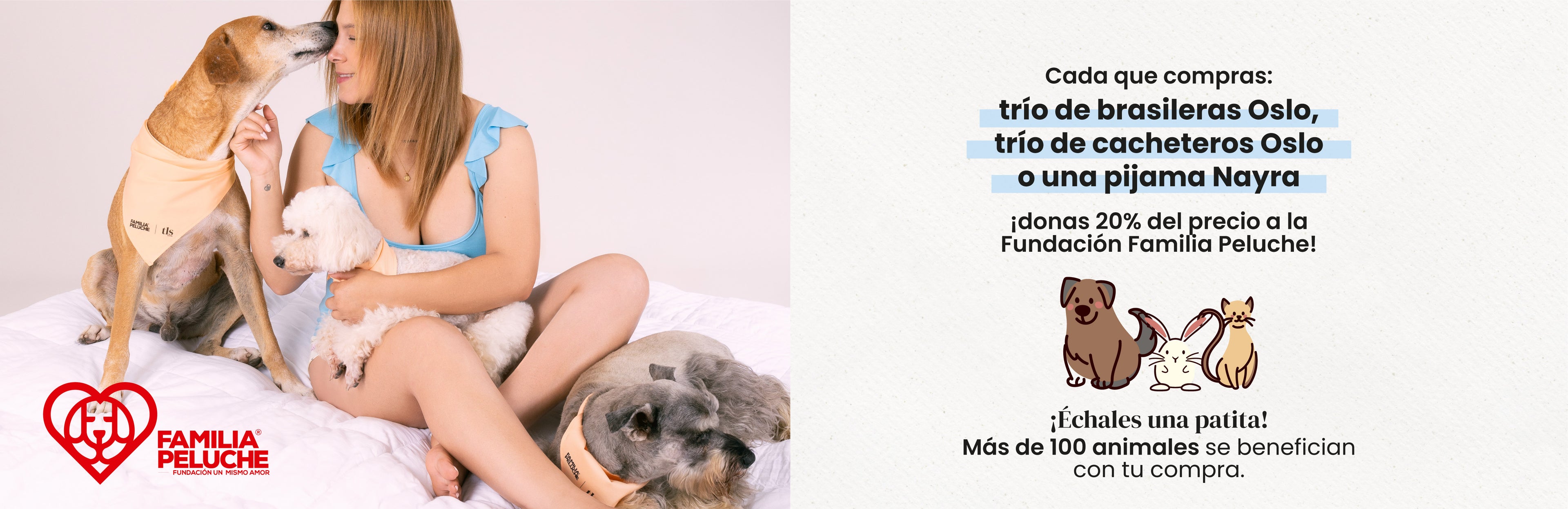 Banner Home 2026.jpg__PID:15f521c2-f982-4611-ad2c-25a3750ba7d5